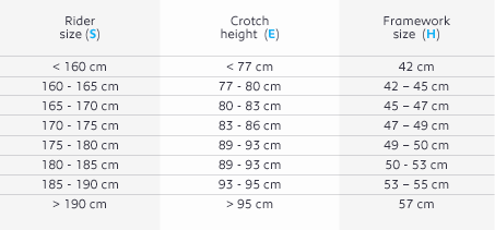 Vintage 2025 bike sizing